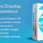 Dropshipping Business
