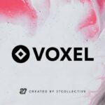 Voxel